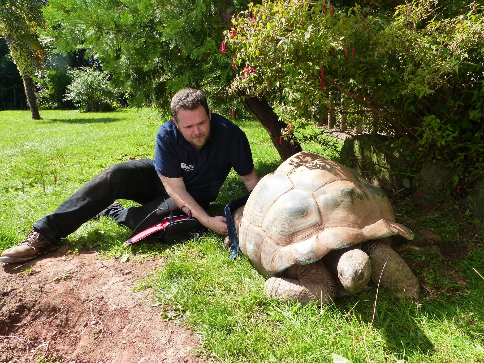 90343992_900527950379638_4160274450127781888_n