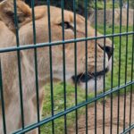 Screenshot_20250909_165102_Gallery